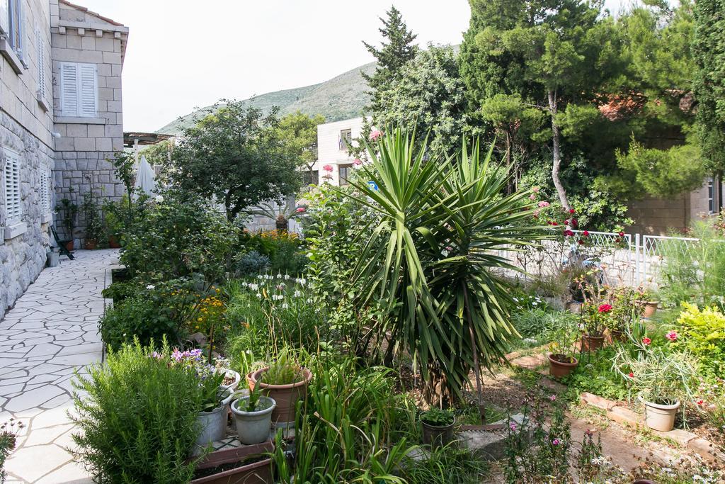 Yellow Room Guesthouse ดูบรอฟนิก ห้อง รูปภาพ